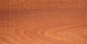 Cách phân biệt các loại gỗ tự nhiên - gỗ xoan đào